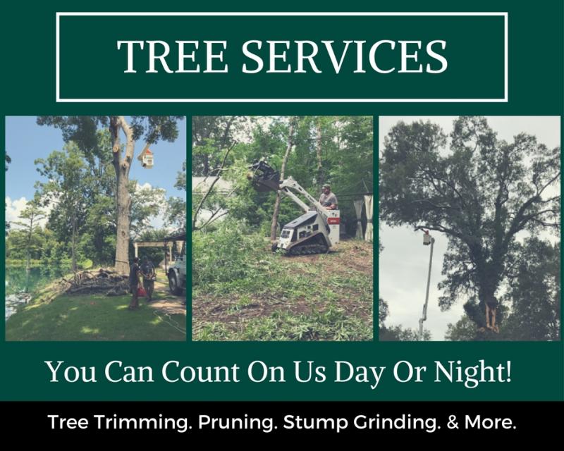 tree services we provide