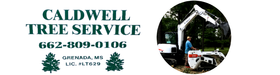 Caldwell Tree Service