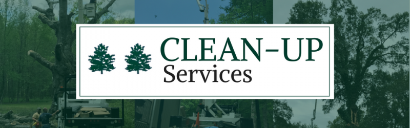 clean-up services