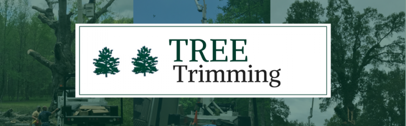 tree trimming services